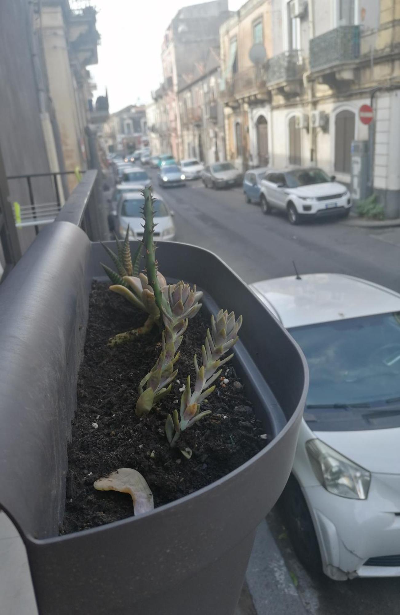 Casa Mariu Villa Catania Bagian luar foto